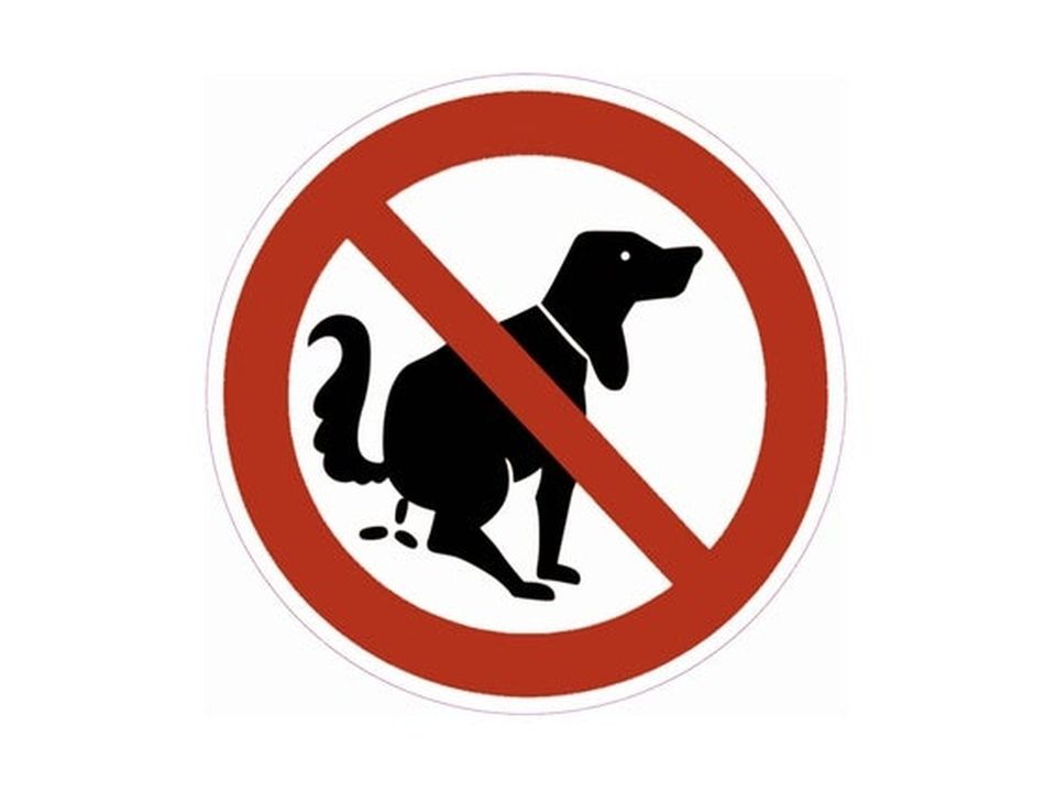 Geen hondenpoep sticker