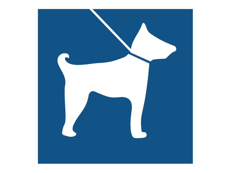 Honden aangelijnd sticker vierkant
