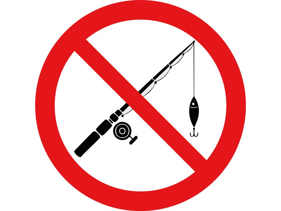 Verboden te vissen sticker, foto 3
