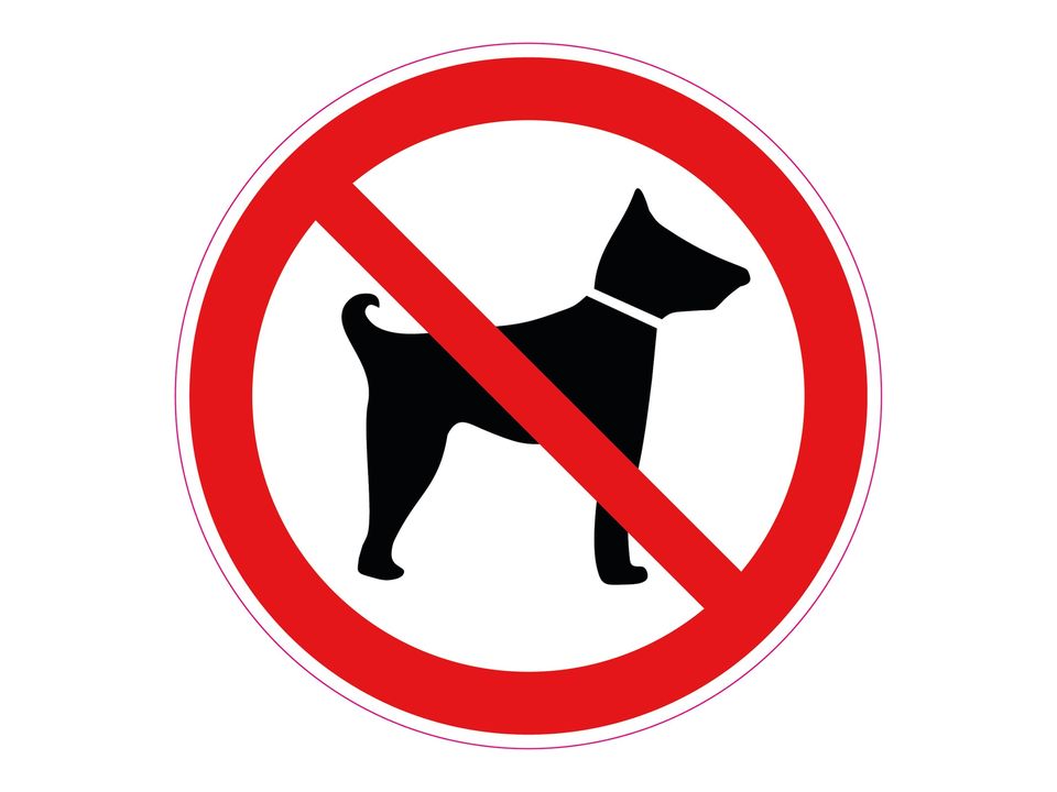 Verboden voor honden sticker